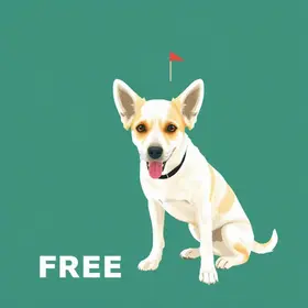 'Belém Animal' oferece atendimentos gratuitos para pets neste domingo na Praça da República