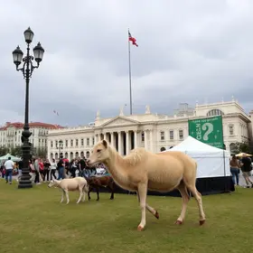 Praça Amiga dos Animais